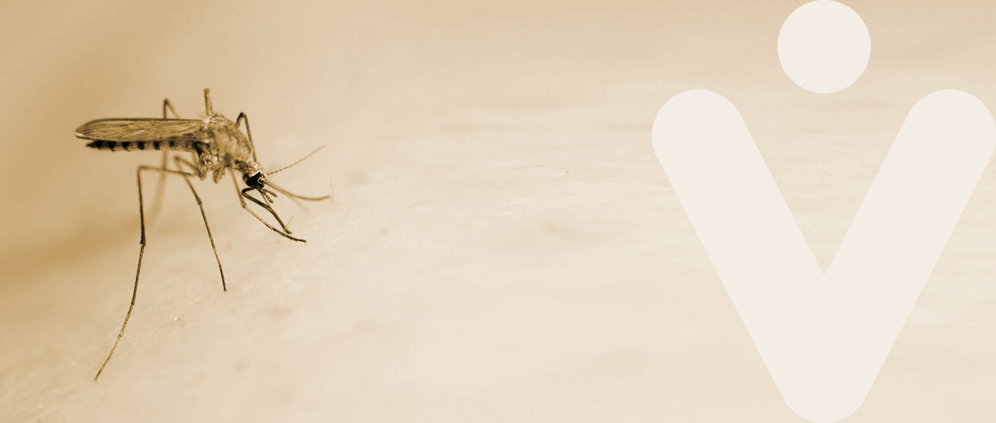 Banner-Fiebre-Amarilla