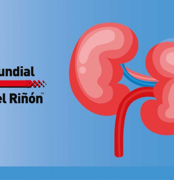 Banner Riñón  mobile